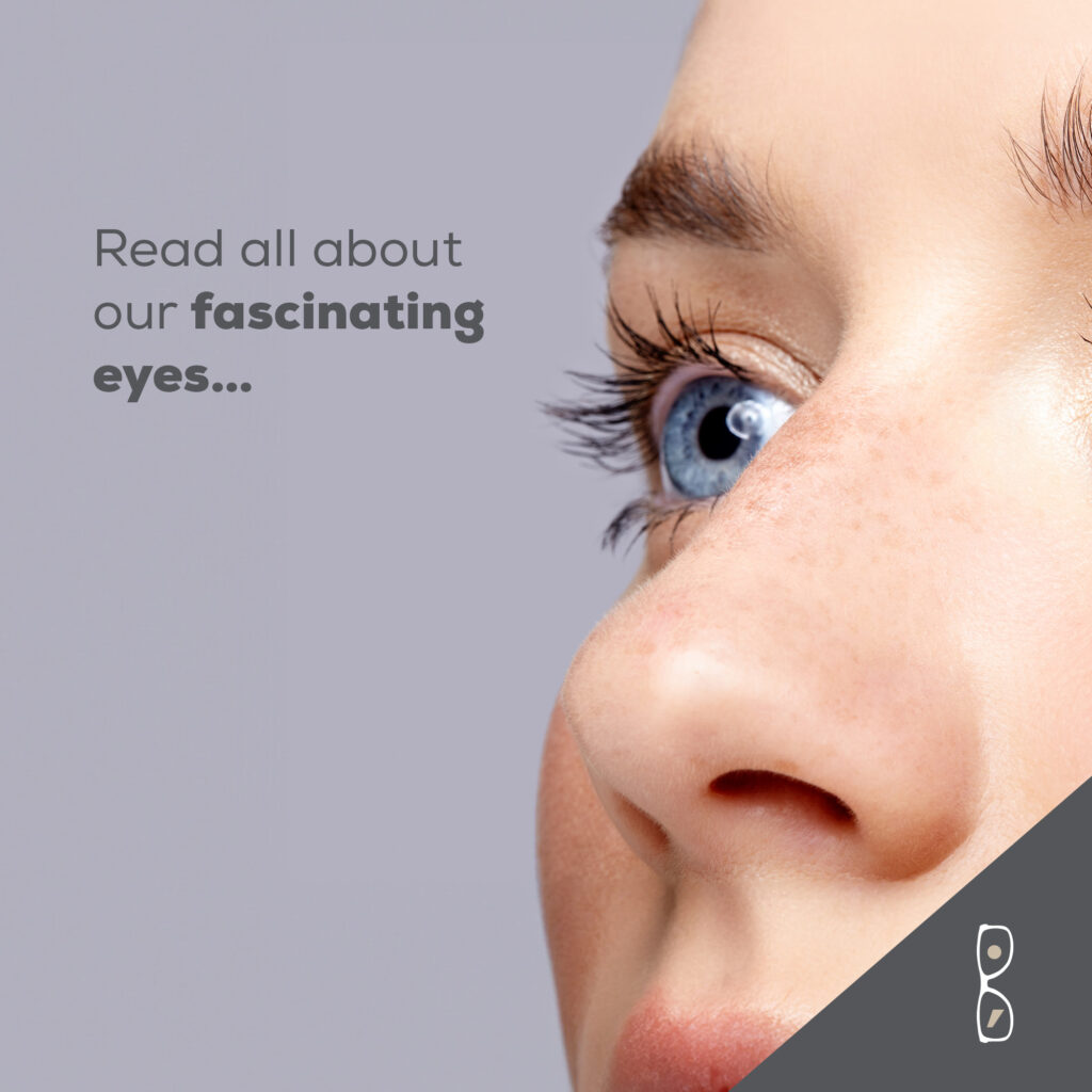 Fascinating Eye Facts 3679 Socials April7 1024x1024 [object object] Blog 3679 Socials April7 1024x1024